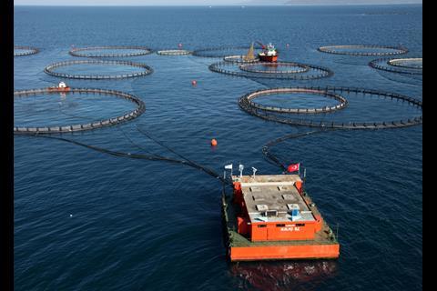 Kiliç has 34 fish growing units